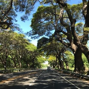 Meet your Posher, Nisha